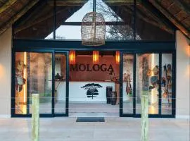 The Beehive Cabin and Bush Camp