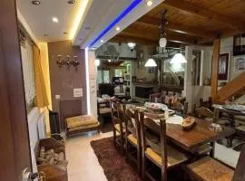 Family Friendly Chalet in Livadi Arachova