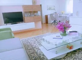 Vilas Family Apartments