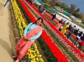 Barot Waterfall Camps