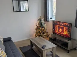 Cambridge House near Addenbrookes, parking and WiFi!