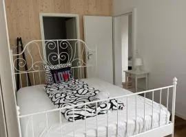 Twin Rooms with Private Bathroom