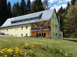 Pension Berghof, hostal o pensión en Breitenbrunn