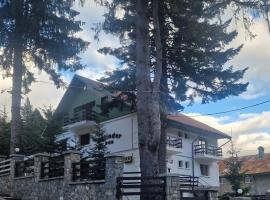 Pensiunea Kalinder, hotel en Bușteni