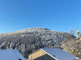 Sauerland Lodge - Haus Juliana