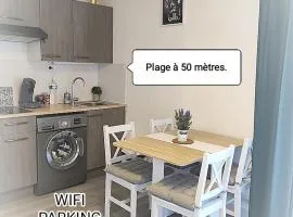 Charmant studio climatisé 24 m2 terrasse à 100m de la plage