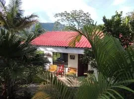 Cabaña Manaos Salento