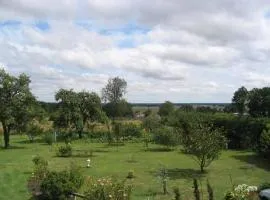 Domaine de la Botterie, Jaune