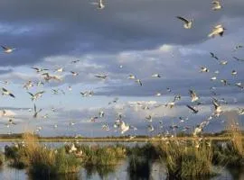 Le Carré d'Etoiles / Domaine de la Crapaudine