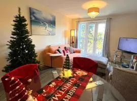 Spacious two bedrooms apartment for business and holiday