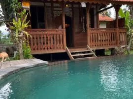 Green vanilla Suite 1