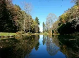 Knoll House- Serene Cabin Overlooking Trout Pond on 66 Acres!