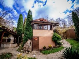 Green Hideaway, hotel din Fîntînele