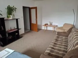 Apartment next to AUPARK