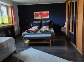 Ferienwohnung FeWe Wandern und Skifahren