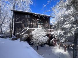 Ski, Hike and Relax Beech Mtn Gem with Sweeping Views, hotel a Beech Mountain