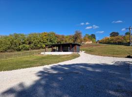 Cuibul de pe Deal Coșdeni Bihor, hotel 