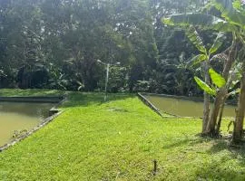 Sítio com rio e muito verde!