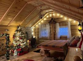 Zonamita house, hotel in Velika Remeta