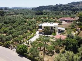 Ellio Apartments