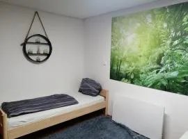 Quiet location in Schönau, free parking, balcony