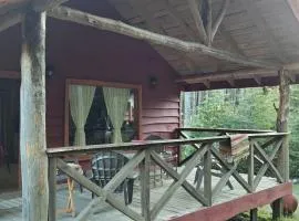 Cabañas mountain Native forest