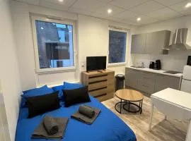 Petit cocon à 5 min du marché de Noël