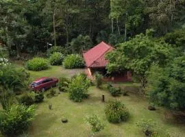 Cabin with private tropical forest