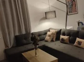 T3 lumineux avec balcon, proche des transports