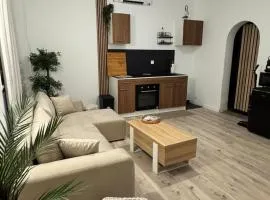 Modern suite with private Jacuzzi garden