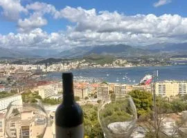 T2 avec vue panoramique