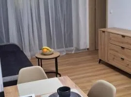 Apartament Sobieskiego nr 3