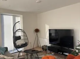 Modern-Spacious Dublin Apartment