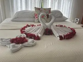 Hotel Villa La Fortuna