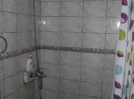 Cabaña y Hostal Dr Steffens