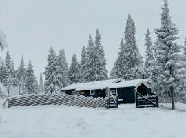 Cabin With Ski Inout Near Gribbe, Valdres，Hovda的飯店