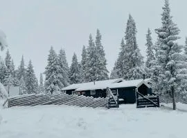 Cabin With Ski Inout Near Gribbe, Valdres