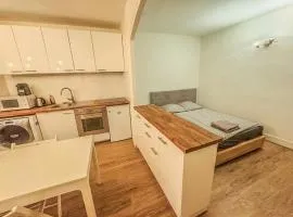 7 Sunny Hideaway Studio Place des Vosges