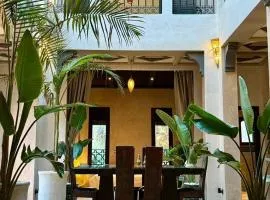 Private Riad Alemania in Marrakesh - Pool - Rooftop