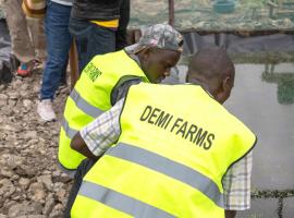 Unique Tree House Stay at Demi Farms, hotel i Kitengela 