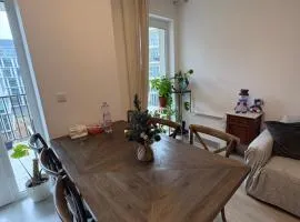 Danube 3 Beds with Big Balcony parking 10euro a day
