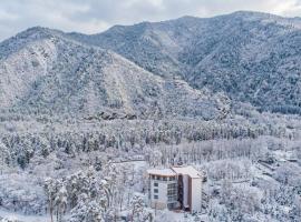 Emerald Borjomi Hotel, hotel in Borjomi