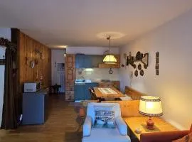 Casa Vaiolet