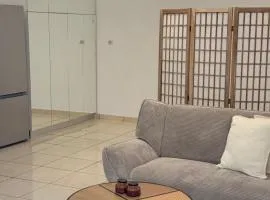 Cozy studio 10minutes from airport