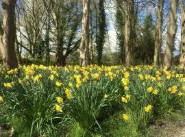 Garden flat at Broomfield