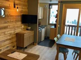 Appartement confortable 2 pièces pour 4 pers, proche station - FR-1-181-2866