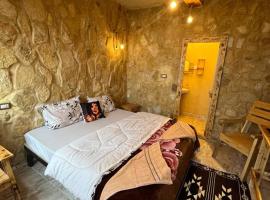 Friends of Dana Hotel, hotel v mestu Dana