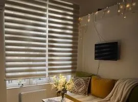 Sarajevo Center daily apartment - Walk everywhere - Old town