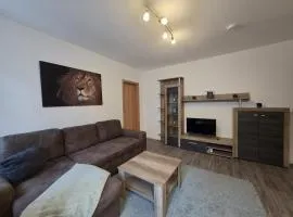 Mikra Homes24 in Glauchau