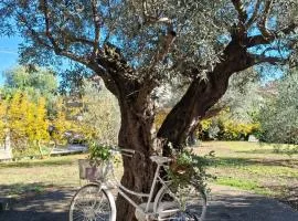 COLLINA FIORITA